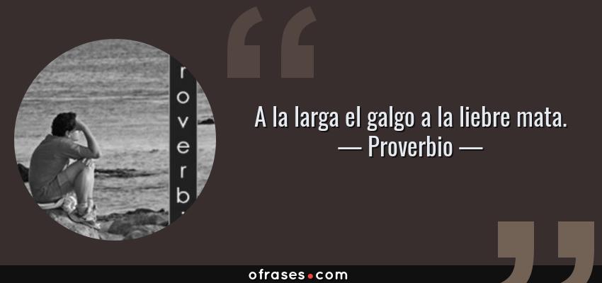 Frases de Proverbio - A la larga el galgo a la liebre mata.