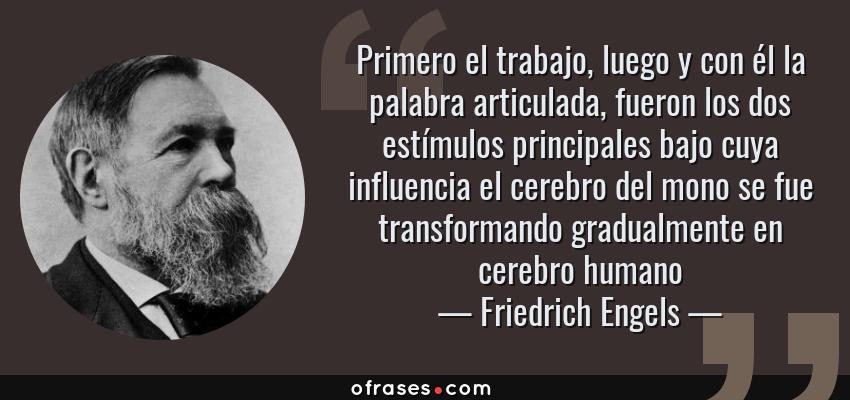 Frases de Friedrich Engels - Primero el trabajo, luego y con él la palabra articulada, fueron los dos estímulos principales bajo cuya influencia el cerebro del mono se fue transformando gradualmente en cerebro humano