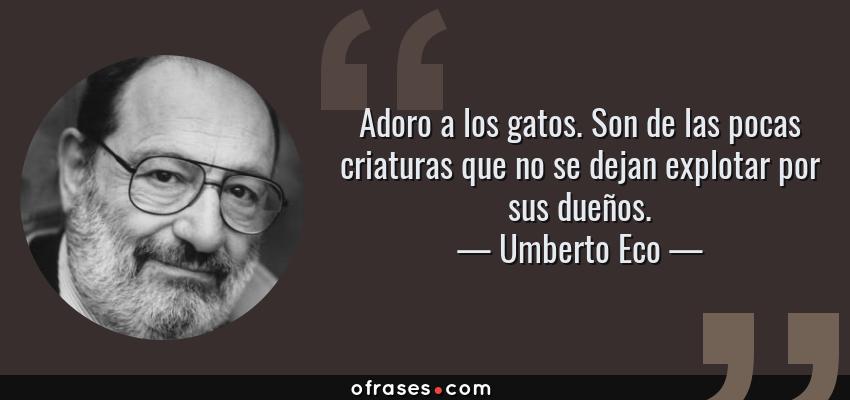 Frases de Umberto Eco - Adoro a los gatos. Son de las pocas criaturas que no se dejan explotar por sus dueños.