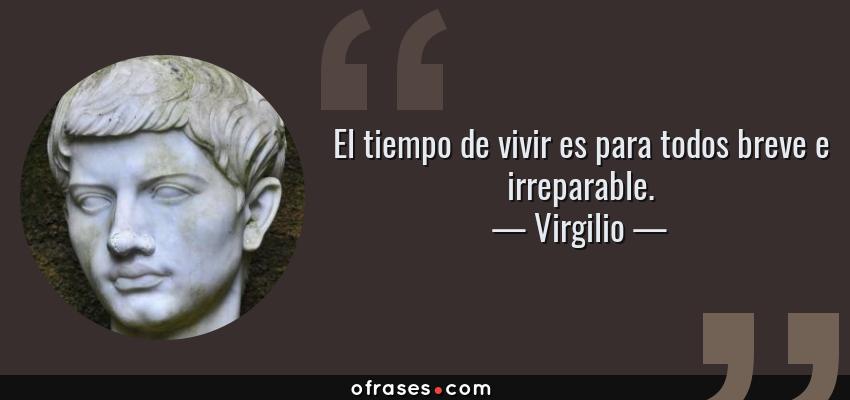 Frases de Virgilio - El tiempo de vivir es para todos breve e irreparable.
