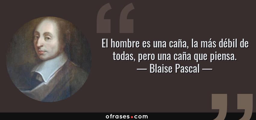Frases de Blaise Pascal - El hombre es una caña, la más débil de todas, pero una caña que piensa.