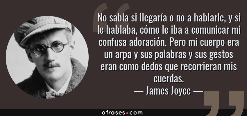 Frases de James Joyce - No sabía si llegaría o no a hablarle, y si le hablaba, cómo le iba a comunicar mi confusa adoración. Pero mi cuerpo era un arpa y sus palabras y sus gestos eran como dedos que recorrieran mis cuerdas.