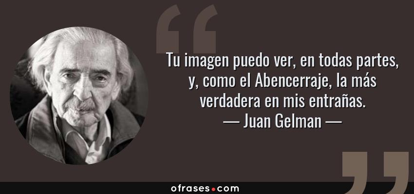 Frases de Juan Gelman - Tu imagen puedo ver, en todas partes, y, como el Abencerraje, la más verdadera en mis entrañas.