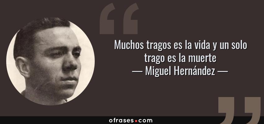 Frases de Miguel Hernández - Muchos tragos es la vida y un solo trago es la muerte