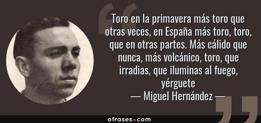 Frases de Miguel Hernández - Toro en la primavera más toro que otras veces, en España más toro, toro, que en otras partes. Más cálido que nunca, más volcánico, toro, que irradias, que iluminas al fuego, yérguete