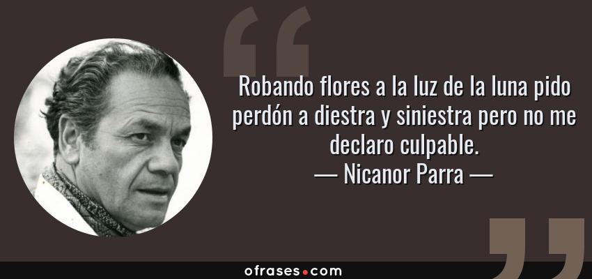 Frases de Nicanor Parra - Robando flores a la luz de la luna pido perdón a diestra y siniestra pero no me declaro culpable.
