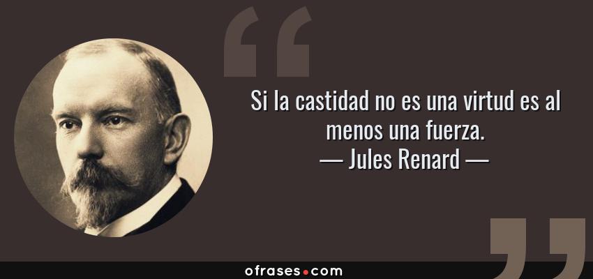 Frases de Jules Renard - Si la castidad no es una virtud es al menos una fuerza.