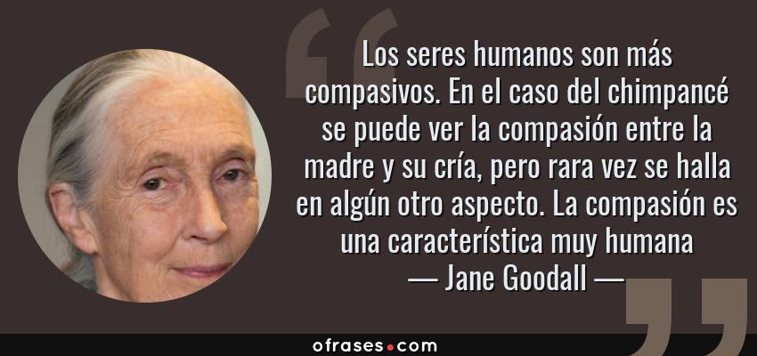 Frases de Jane Goodall - Los seres humanos son más compasivos. En el caso del chimpancé se puede ver la compasión entre la madre y su cría, pero rara vez se halla en algún otro aspecto. La compasión es una característica muy humana