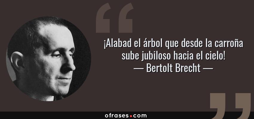Frases de Bertolt Brecht - ¡Alabad el árbol que desde la carroña sube jubiloso hacia el cielo!