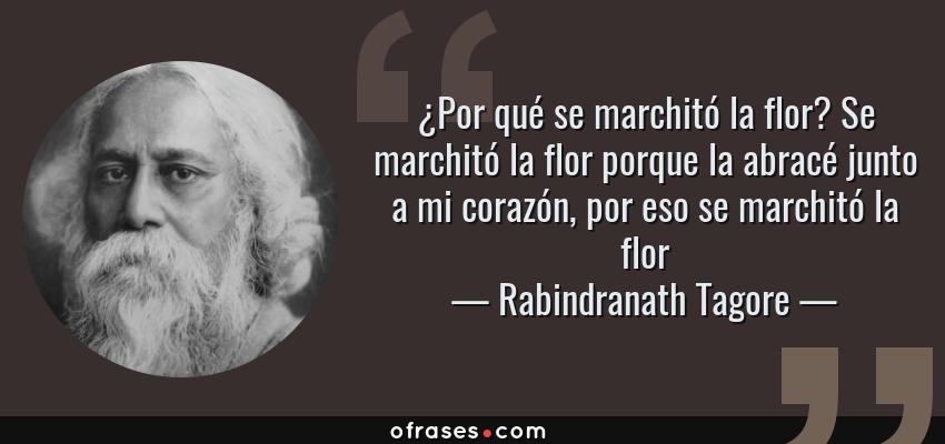 Frases de Rabindranath Tagore - ¿Por qué se marchitó la flor? Se marchitó la flor porque la abracé junto a mi corazón, por eso se marchitó la flor