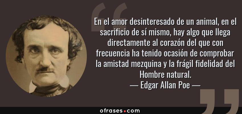 Frases de Edgar Allan Poe - En el amor desinteresado de un animal, en el sacrificio de sí mismo, hay algo que llega directamente al corazón del que con frecuencia ha tenido ocasión de comprobar la amistad mezquina y la frágil fidelidad del Hombre natural.