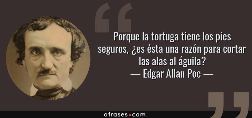 Frases de Edgar Allan Poe - Porque la tortuga tiene los pies seguros, ¿es ésta una razón para cortar las alas al águila?