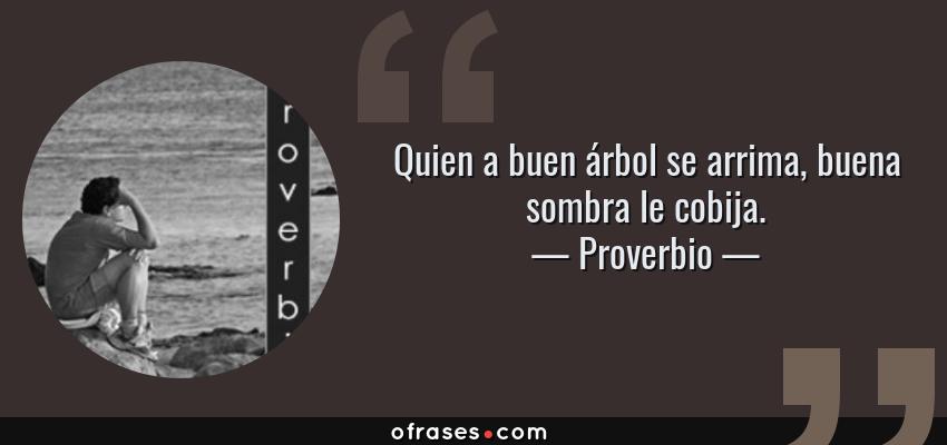 Frases de Proverbio - Quien a buen árbol se arrima, buena sombra le cobija.