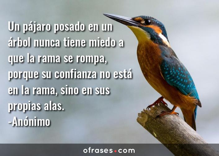 Anónimo Un pájaro posado en un árbol nunca tiene miedo a que la rama se rompa, porque su confianza no está en la rama, sino en sus propias alas.
